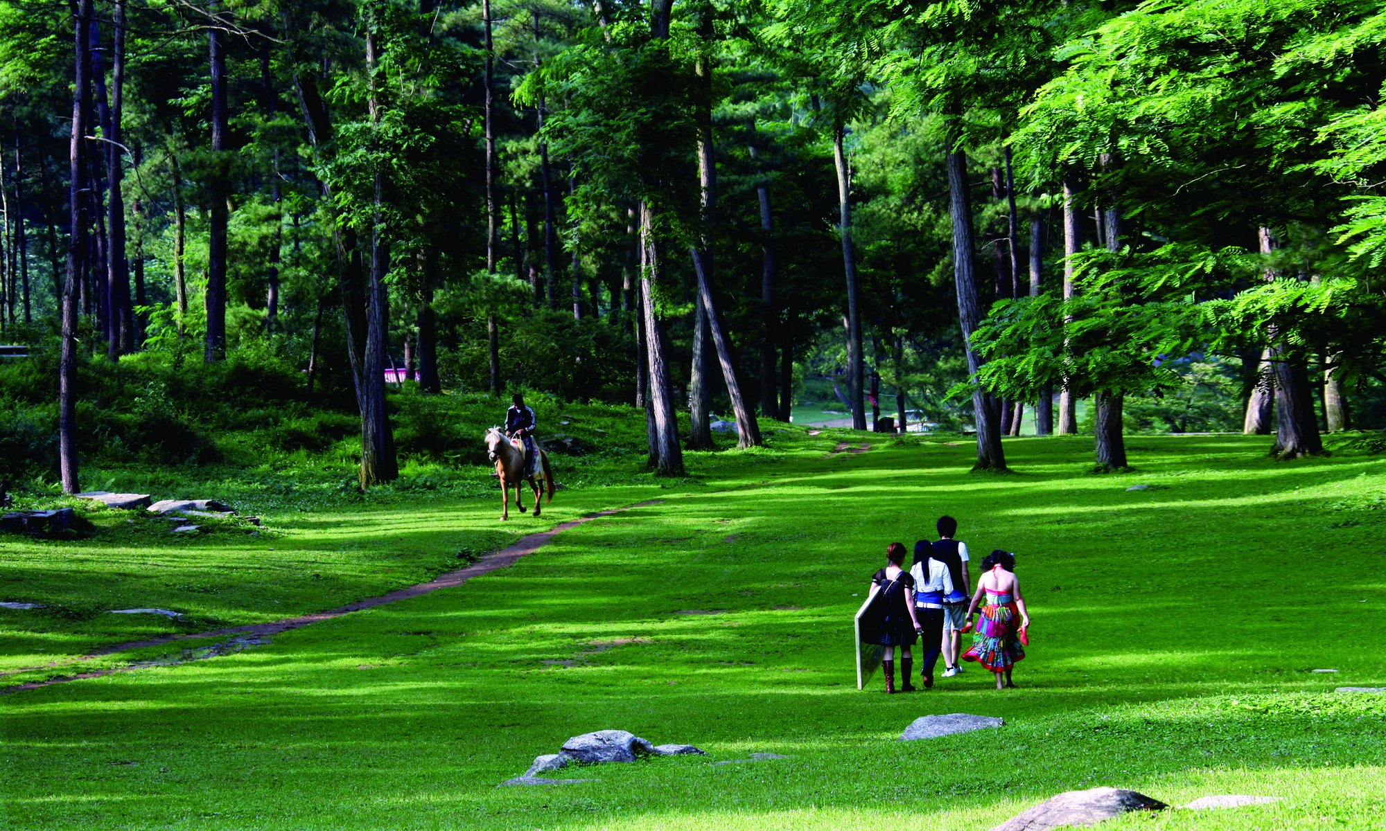 長坡嶺森林公園