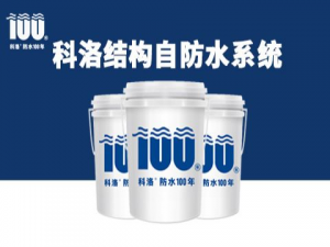 混凝土結構自防水技術規范